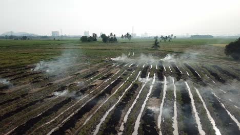 Farmers-burn-the-agricultural-waste-after-harvest-at-Malaysia,-Southeast-Asia.
